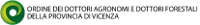 logo VI