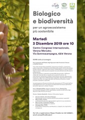 immagine evento 280