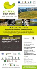 immagine evento 291