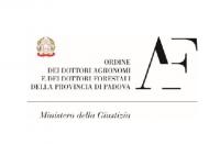 logo PD