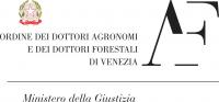logo VE